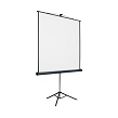 Projector Screens