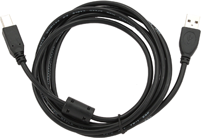 Cable Gembird CCF-USB2-AMBM-6 / Black