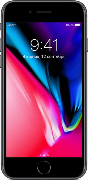 GSM Apple iPhone 8 256Gb / Grey
