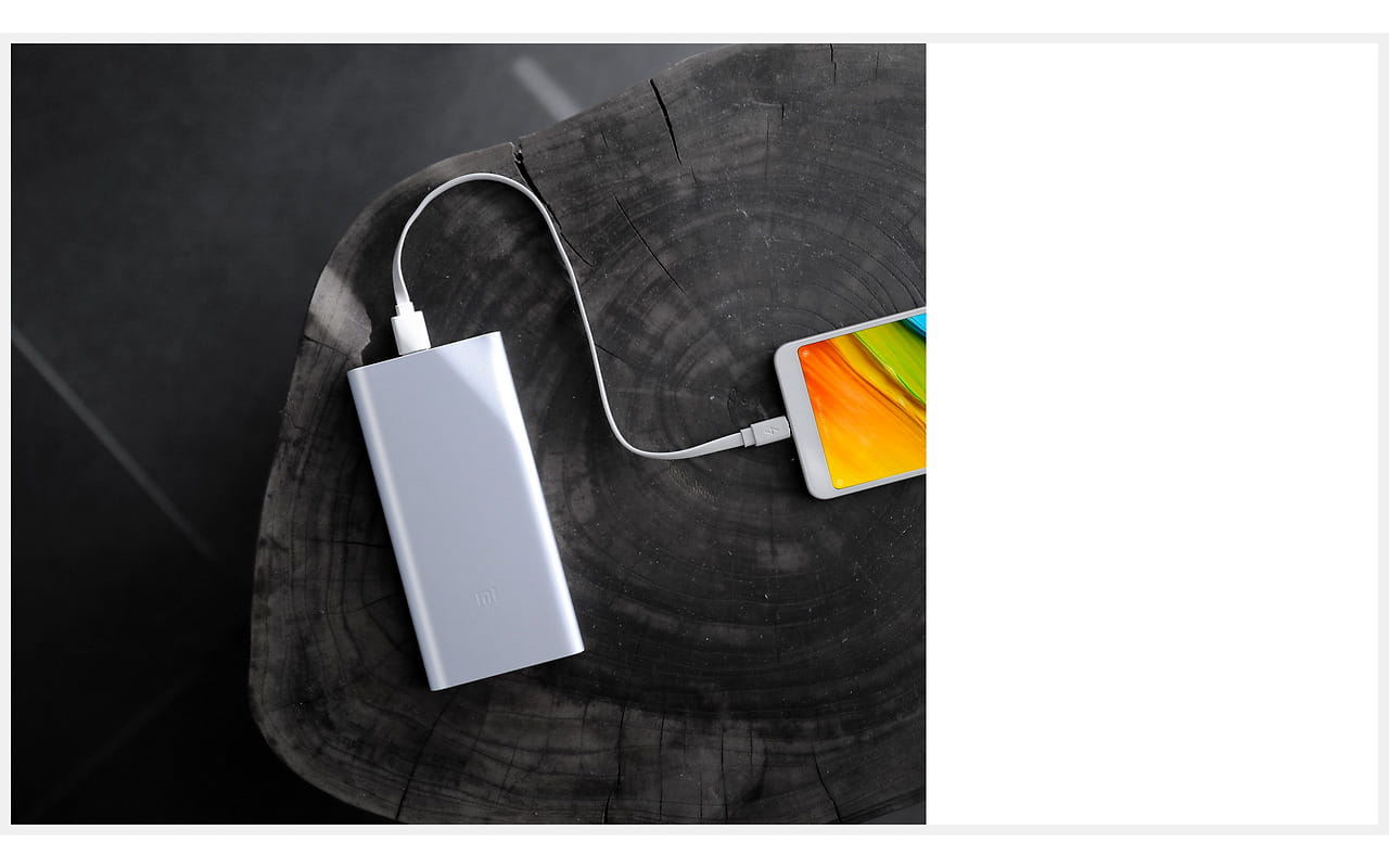 Xiaomi Mi Power Bank 2S / 10000 mAh / Silver