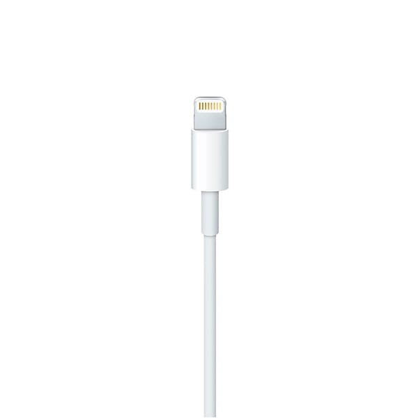Apple A2441 / Lightning to USB-C Cable 2m /