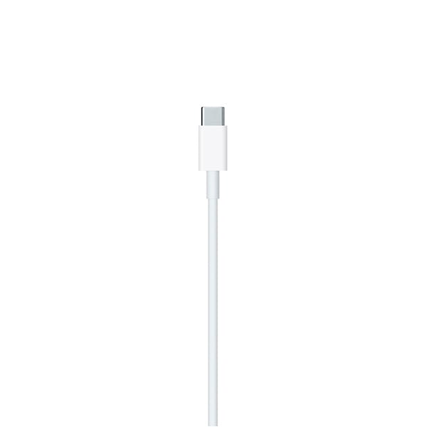Apple A2441 / Lightning to USB-C Cable 2m /