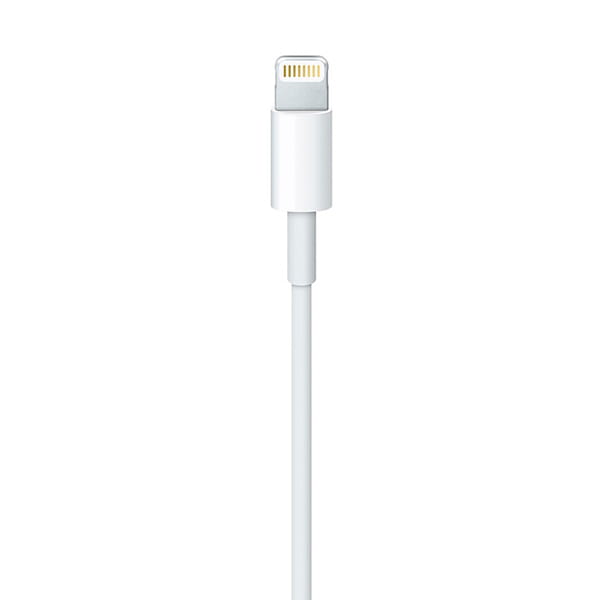 Apple Lightning to USB-C Cable / 1m