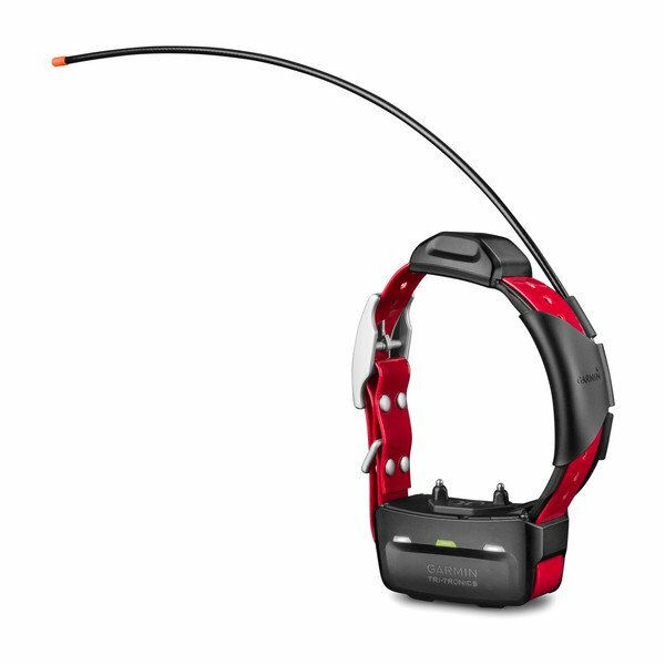 Garmin TT 15 Dog Collar / 010-01041-81 /