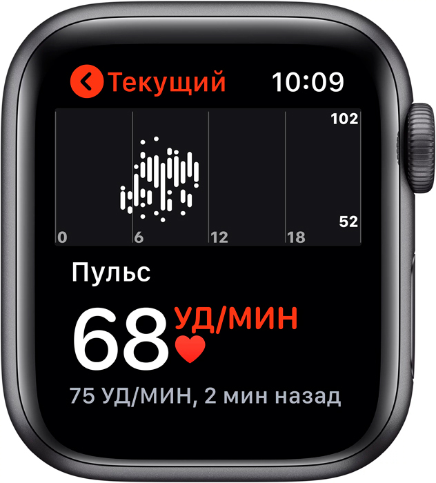 Apple Watch 5 40mm GPS / Grey