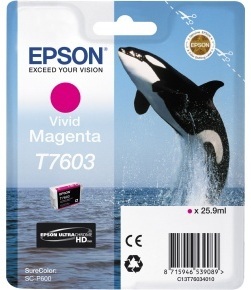 Epson T760 SC-P600 / Magenta