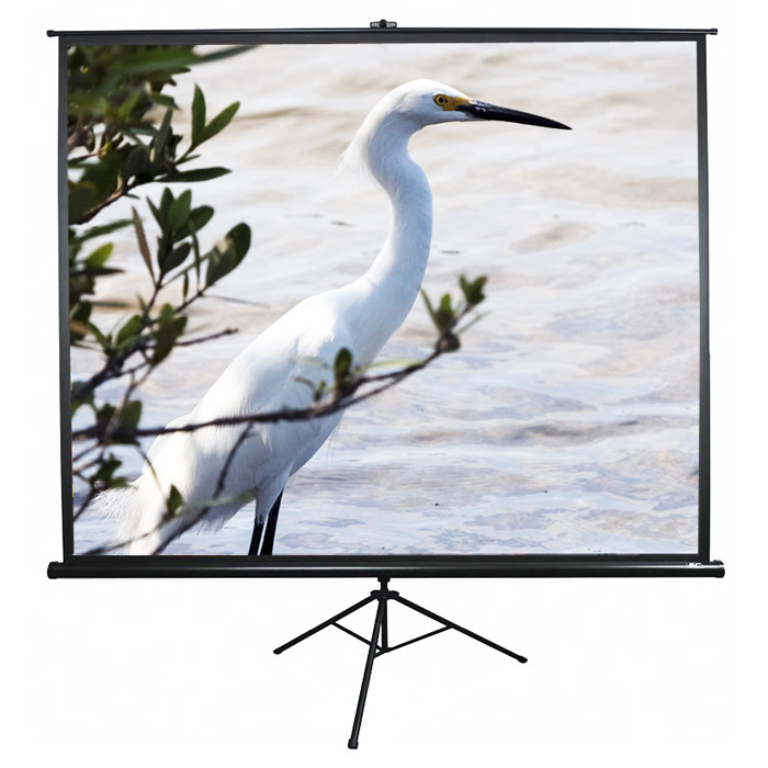 EliteScreens T84UWV1 / 71" /