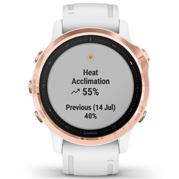 Garmin Fenix 6S Pro 010-02159-11