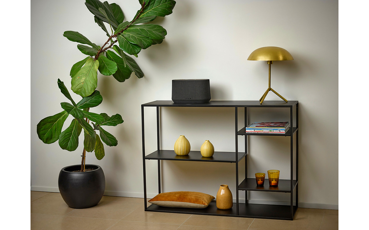Harman Kardon Citation 300 /