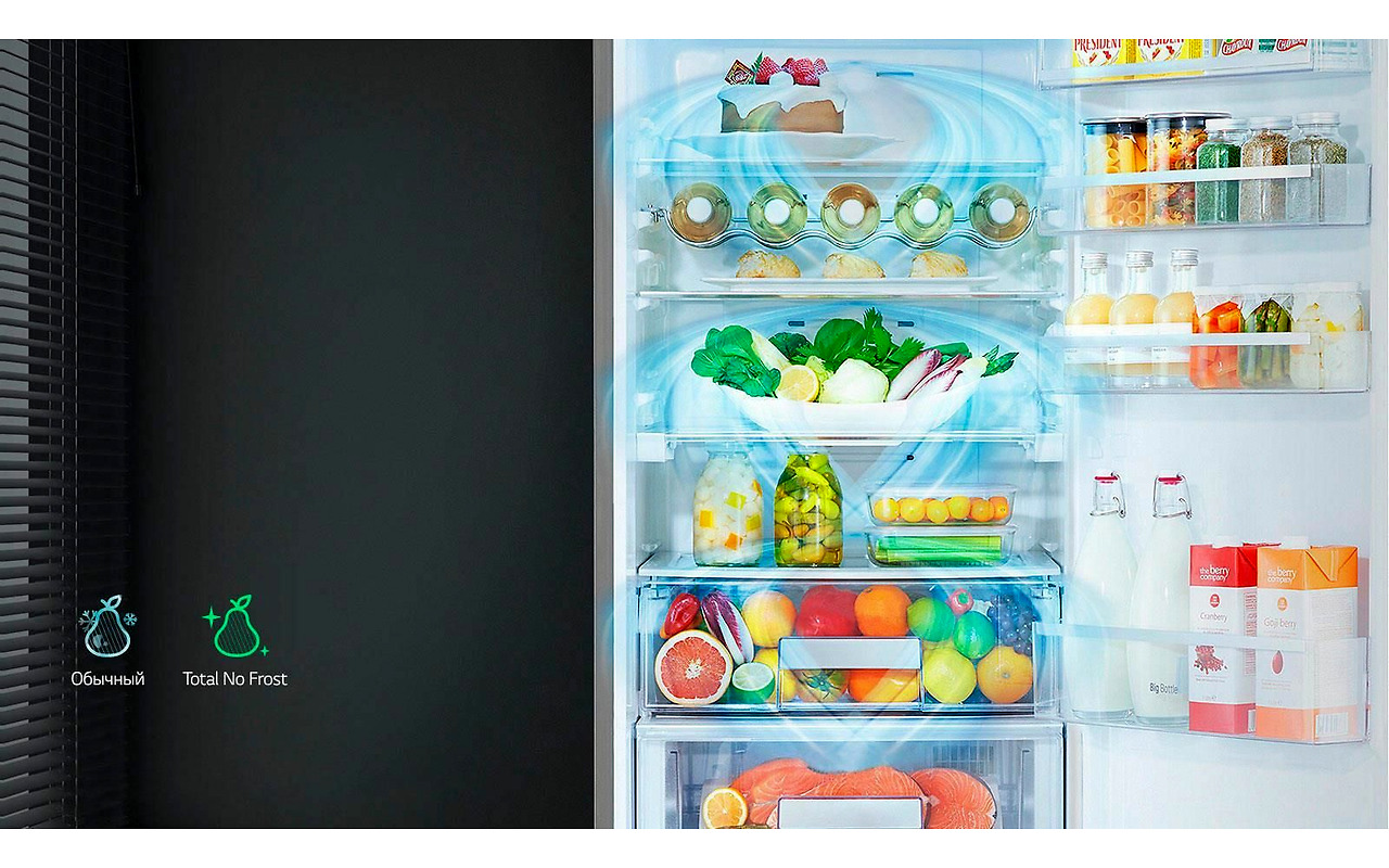 LG GA-B379SLUL / Inox