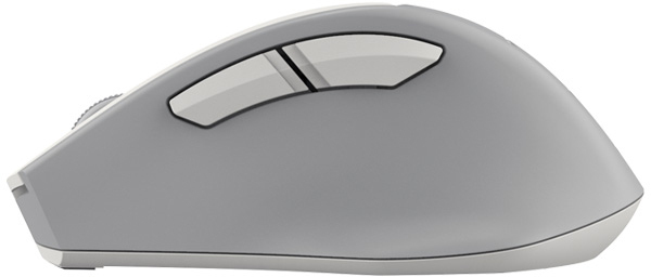 A4Tech FG30 / White