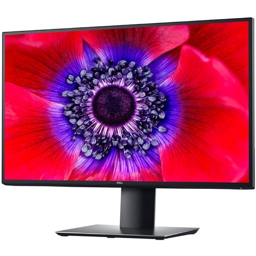 DELL UltraSharp U2520D / 25.0" IPS 2560x1440 Borderless / Black
