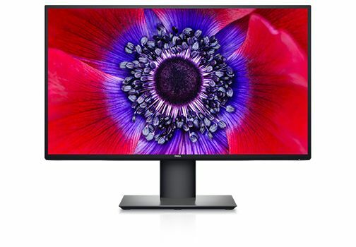 DELL UltraSharp U2520D / 25.0" IPS 2560x1440 Borderless / Black