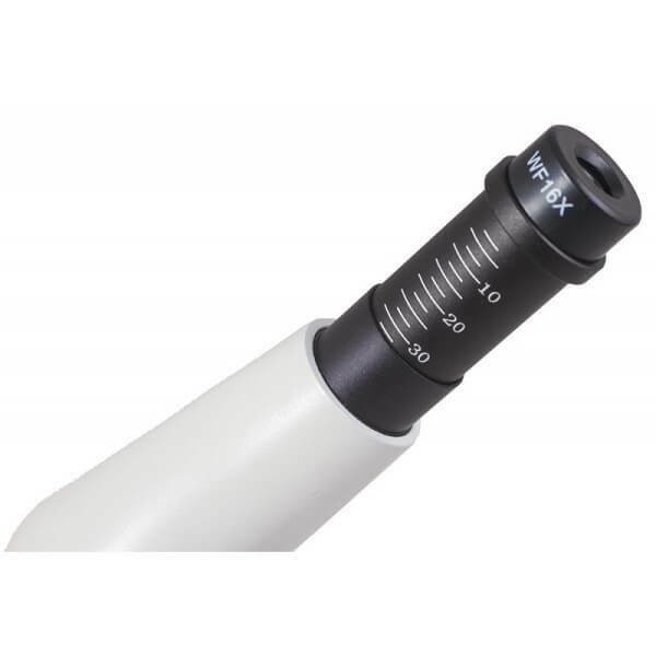 Levenhuk 50L PLUS Moonstone /