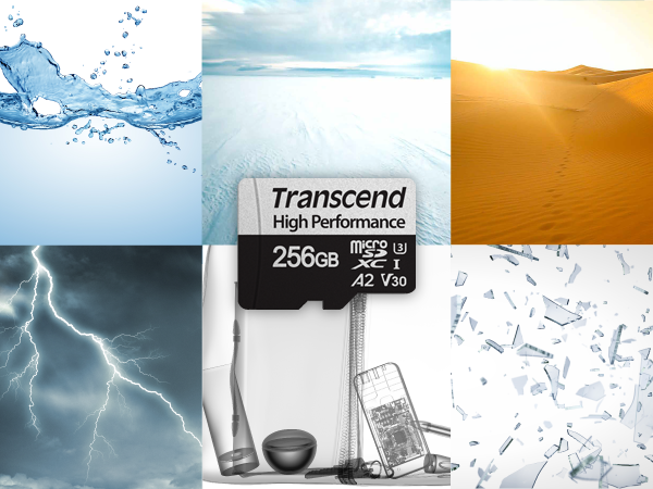 Transcend TS256GUSD330S 256GB MicroSD /
