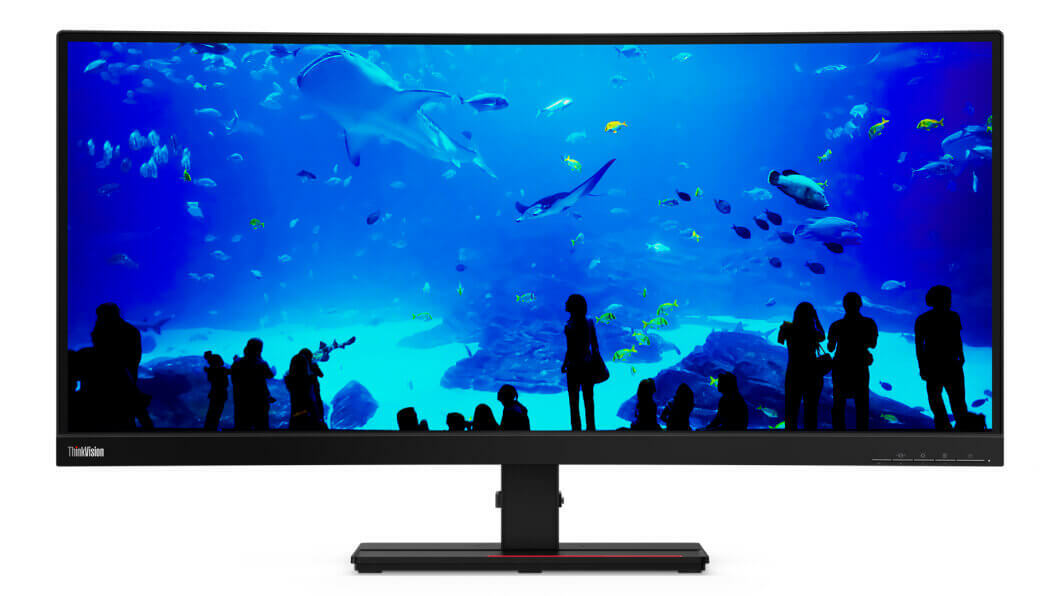 Lenovo ThinkVision T34w-20 / 34" VA Curved WQHD / Black