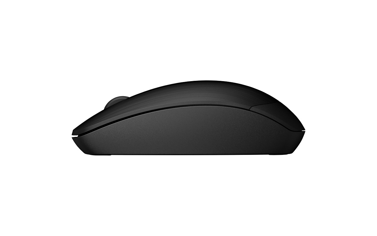 HP Wireless Mouse X200 / 6VY95AA
