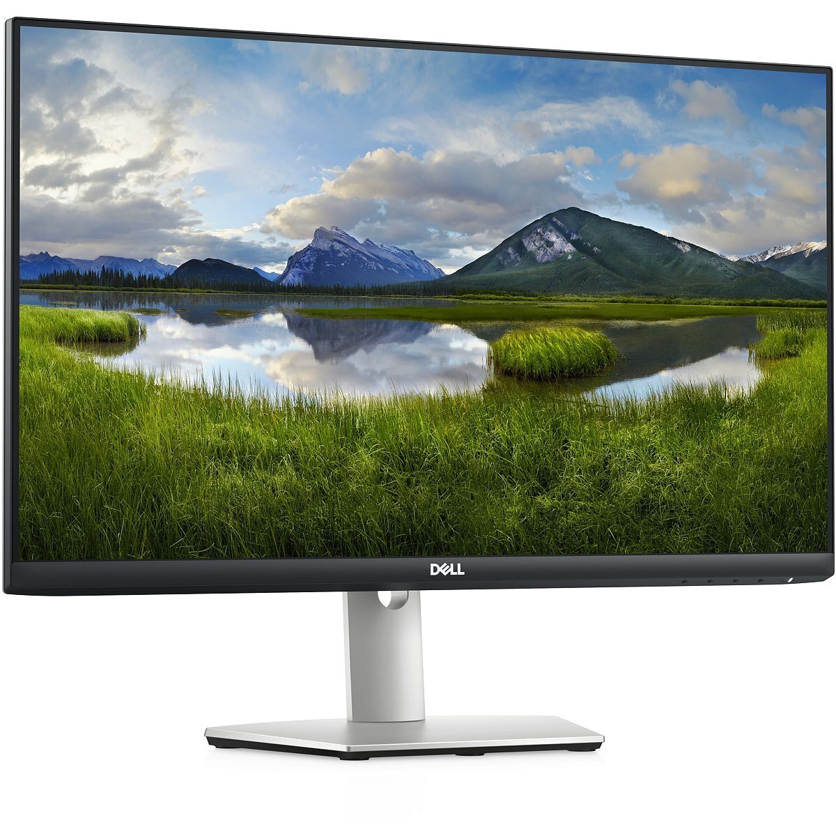 DELL S2421HS / 23.8 FullHD IPS / Silver