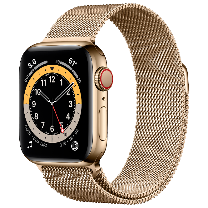 Apple Watch Series 6 GPS + Cellular 40mm Gold Stainless Steel Case with Gold Milanese Loop / Gold