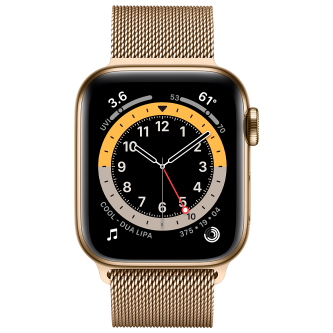 Apple Watch Series 6 GPS + Cellular 40mm Gold Stainless Steel Case with Gold Milanese Loop / Gold