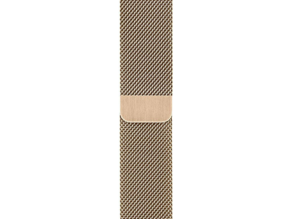 Apple Watch Series 6 GPS + Cellular 40mm Gold Stainless Steel Case with Gold Milanese Loop / Gold