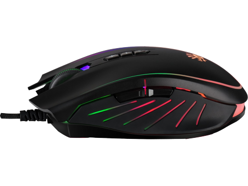 Bloody Q81 Curve / Black
