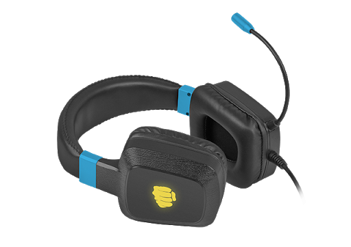 FURY Raptor RGB	NFU-1584 / Black