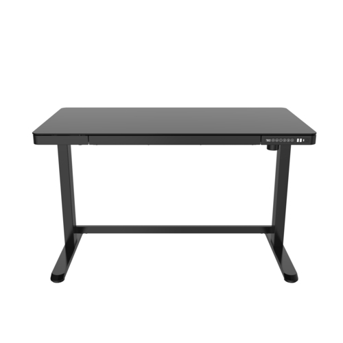 FlexiSpot Adjustable Desk ET118 / Black