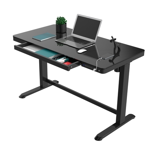 FlexiSpot Adjustable Desk ET118 / Black