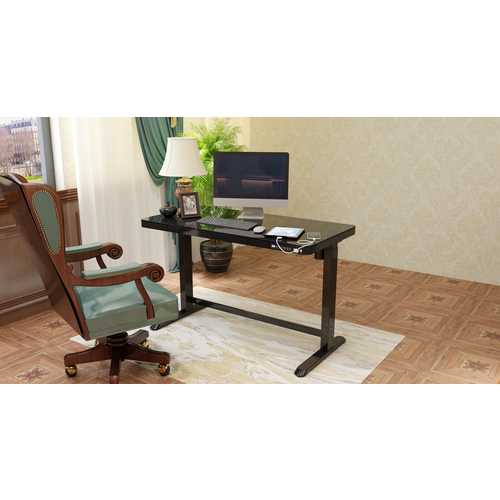 FlexiSpot Adjustable Desk ET118 / Black
