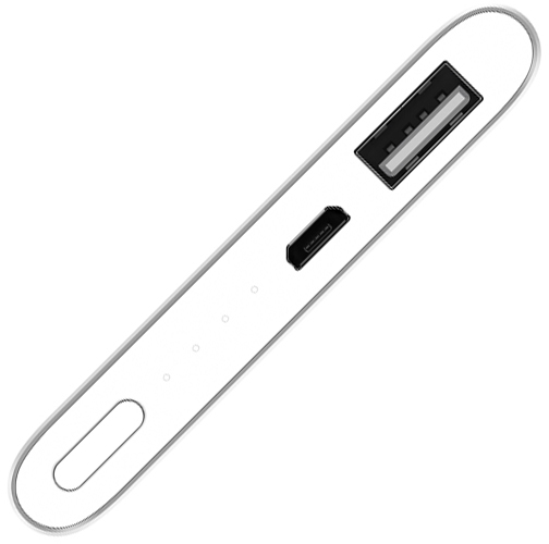 Xiaomi Mi Power Bank 2 / 5000 mAh / Silver