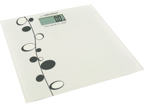 Esperanza ZUMBA EBS005 / White