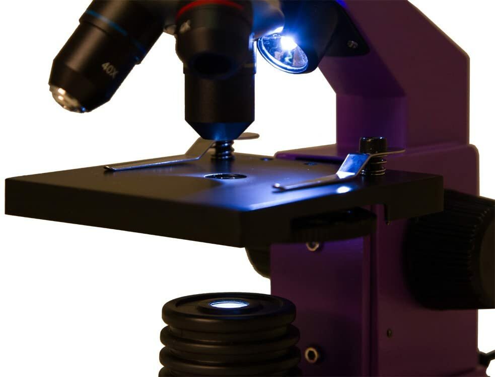 Levenhuk Rainbow 2L PLUS Amethyst / 69067 Purple