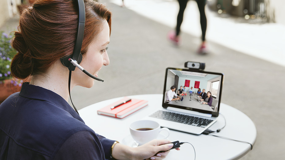 Logitech H650e USB Headset Stereo / 981-000519