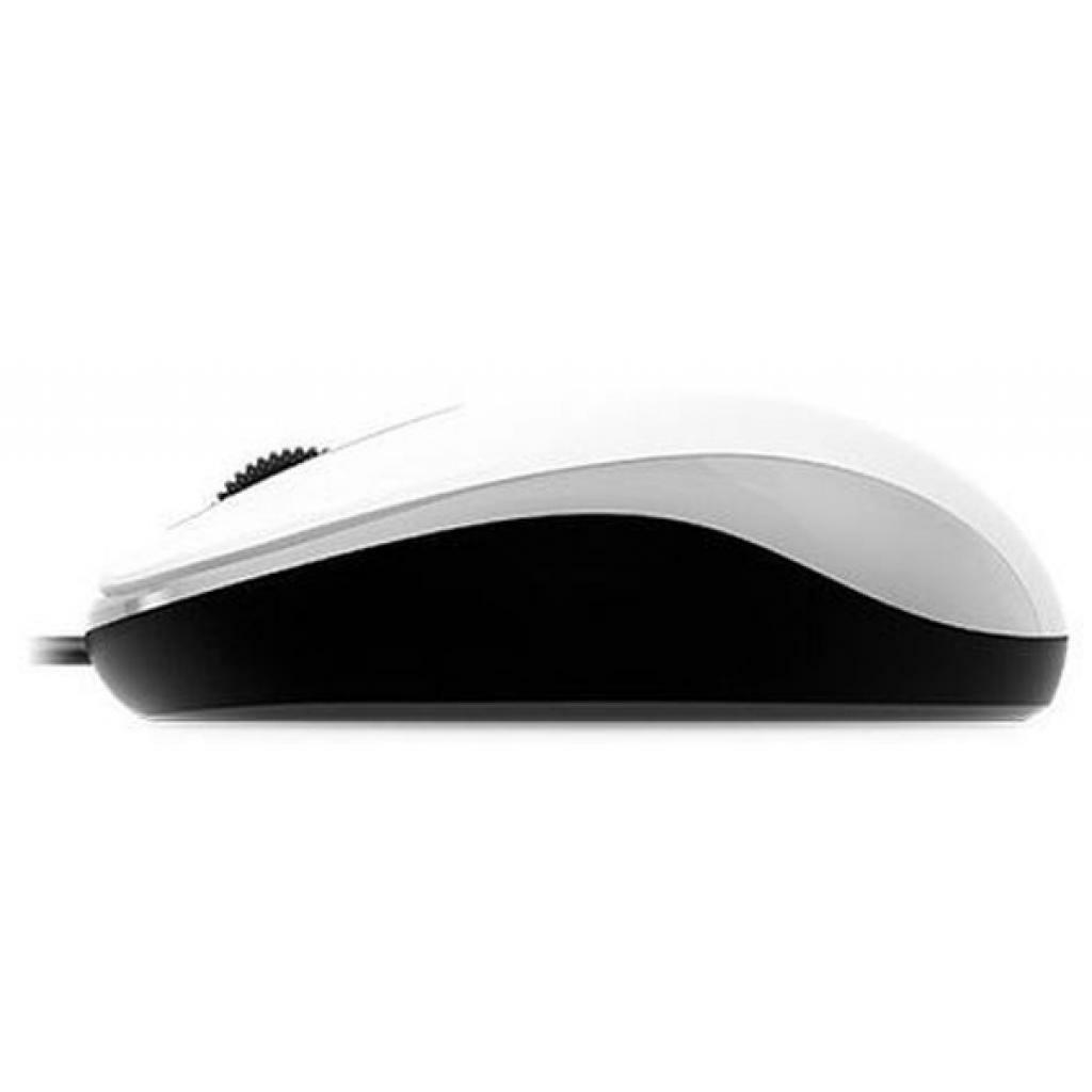 Mouse Genius  DX-110 / USB / White