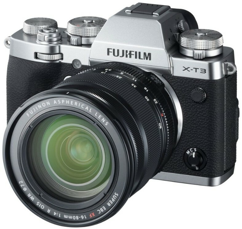 Fujifilm X-T3 / XF 16-80mm F4 R OIS WR / 16643531