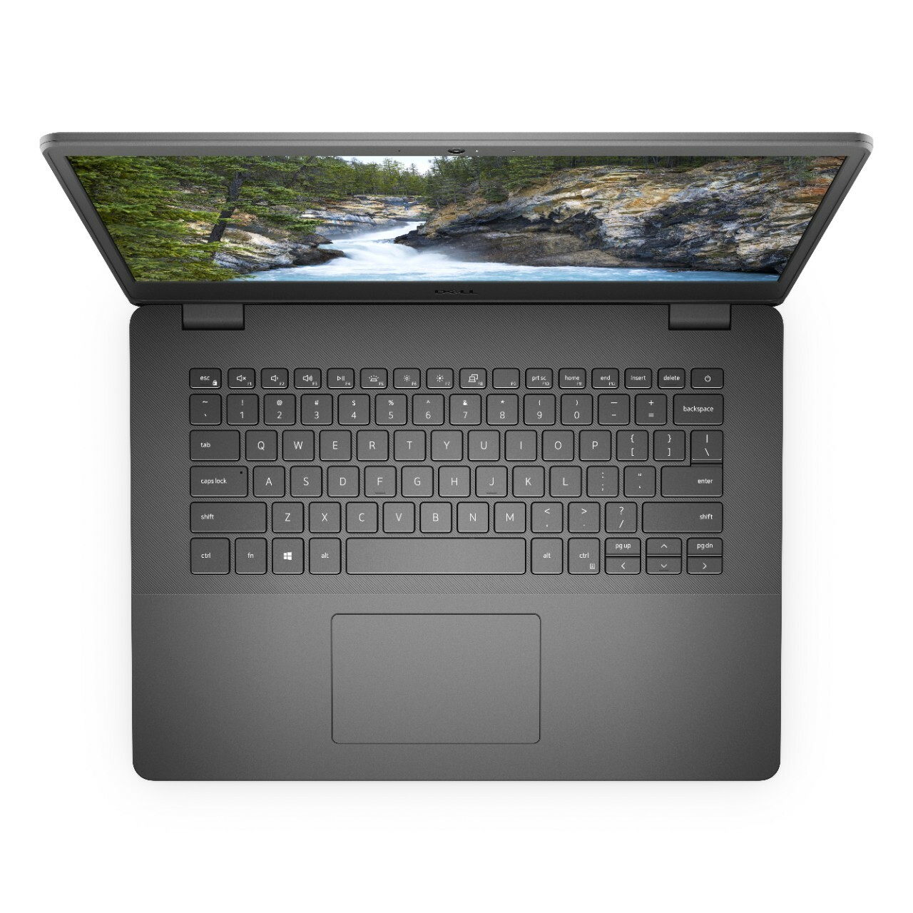 DELL Vostro 15 3000 / 14.0" FullHD / Intel Core i5-11355G7 / 8GB DDR4 / 256GB NVMe / Ubuntu / 273509409