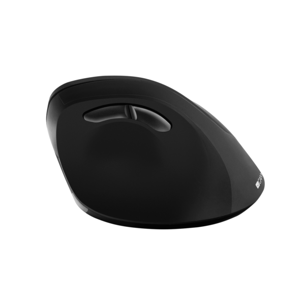 Canyon MW-16 / Vertical / CNS-CMSW16B