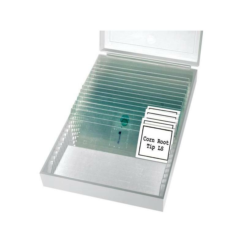 BRESSER Biolux NV 20x-1280x Microscop / 5116200