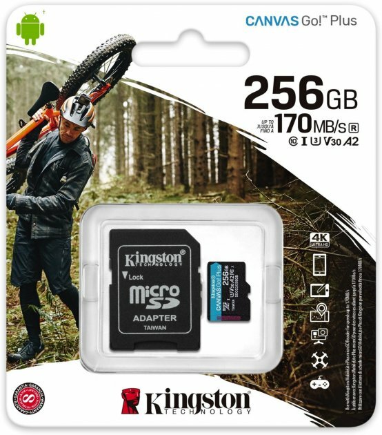 Kingston Canvas Cangas Go Plus SDCG3/256GB microSD 256GB