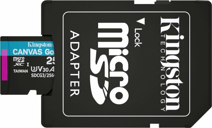 Kingston Canvas Cangas Go Plus SDCG3/256GB microSD 256GB