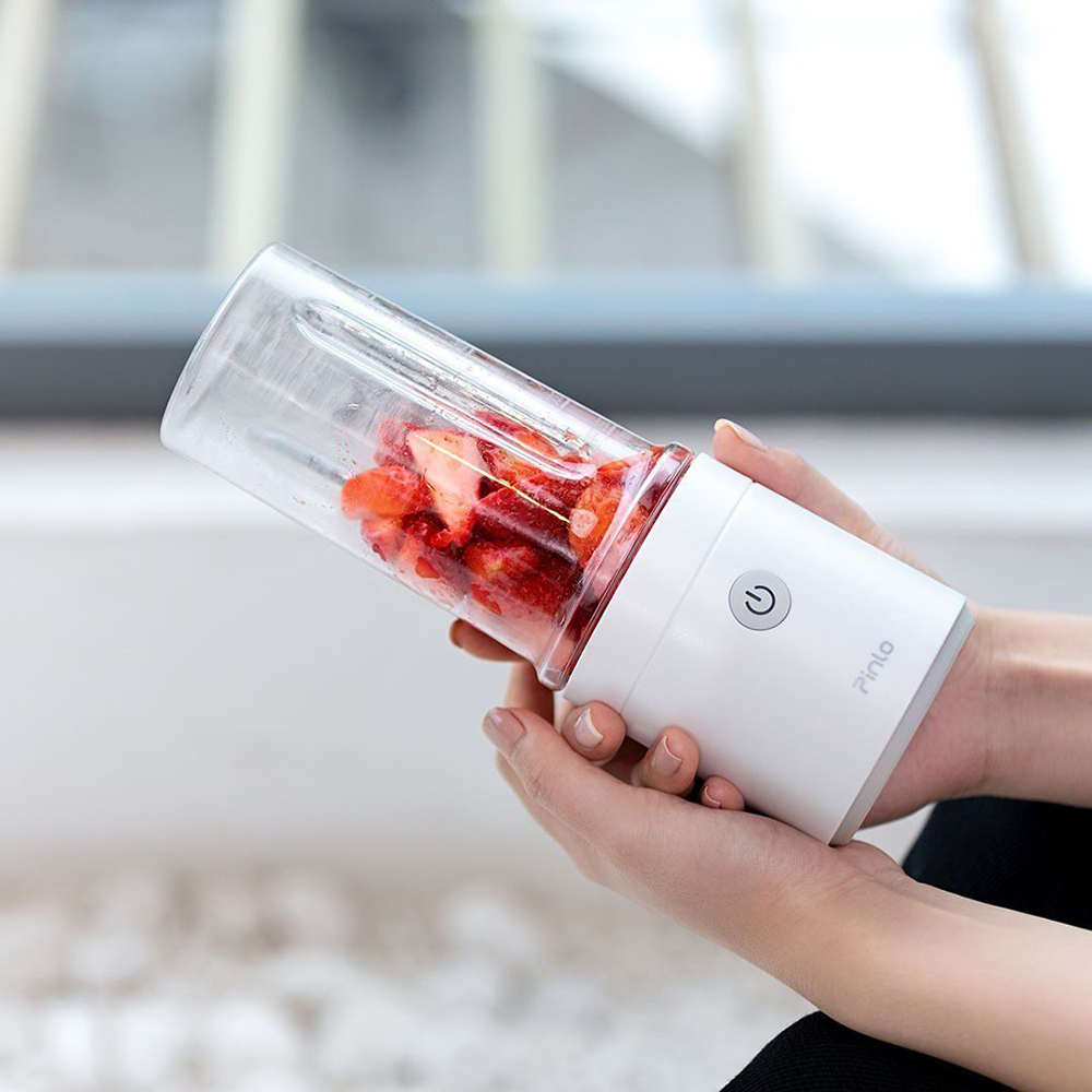 Xiaomi Pinlo Juice Cup