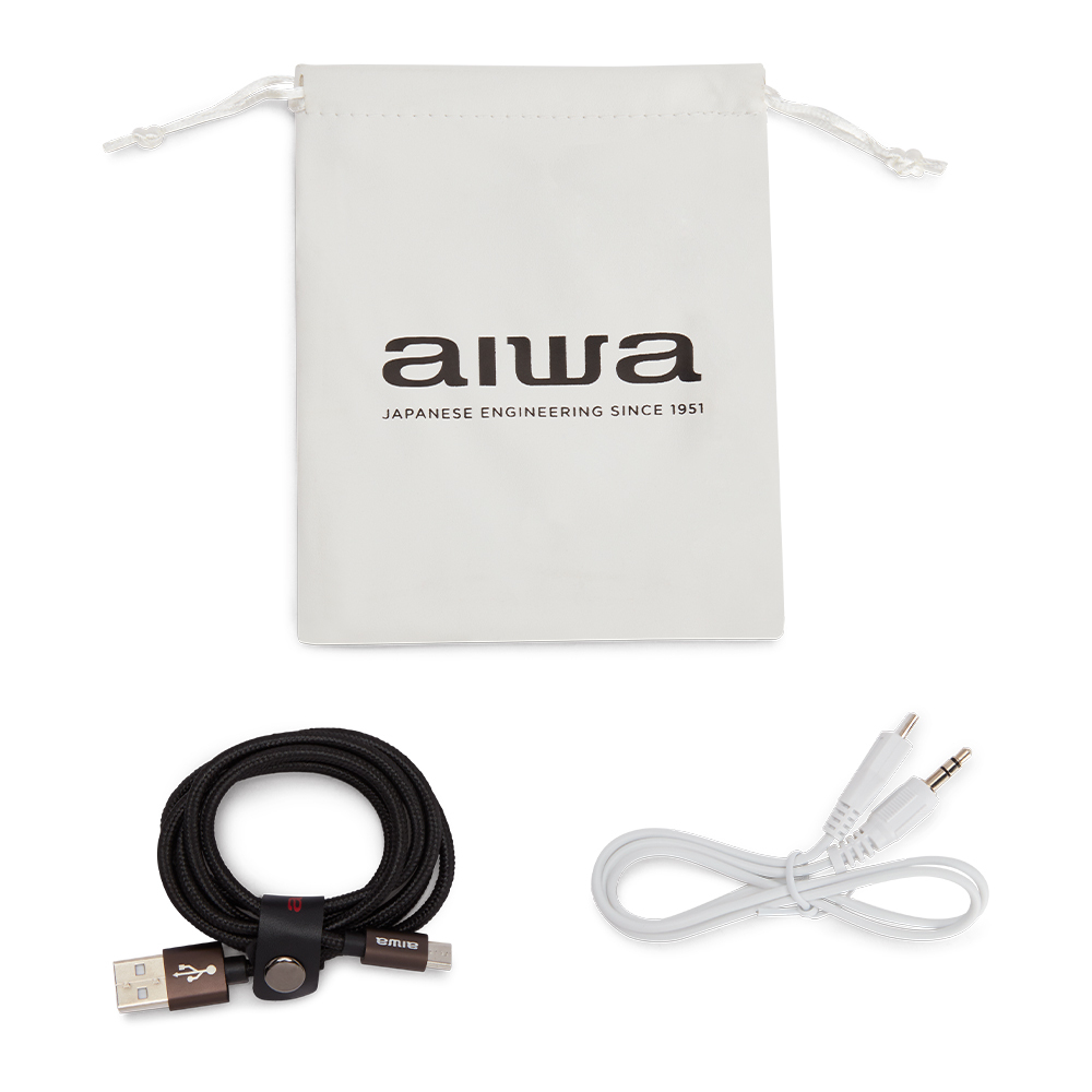 Aiwa BS-100GY