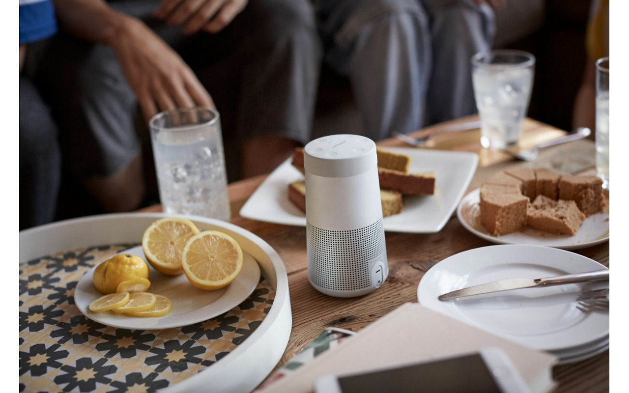 Bose SoundLink Revolve II / Silver