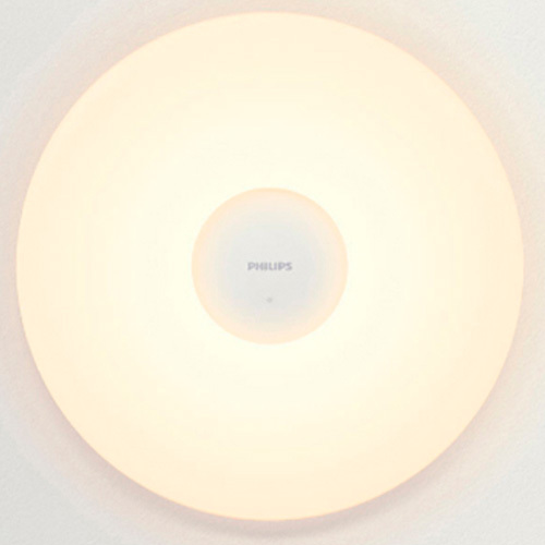 Xiaomi Philips LED Ceiliny Lamp Mijia