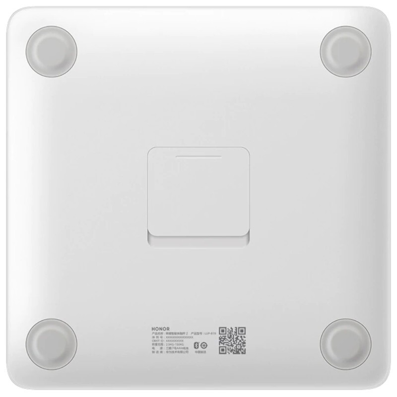 Honor Scale 2 / LUP-B19