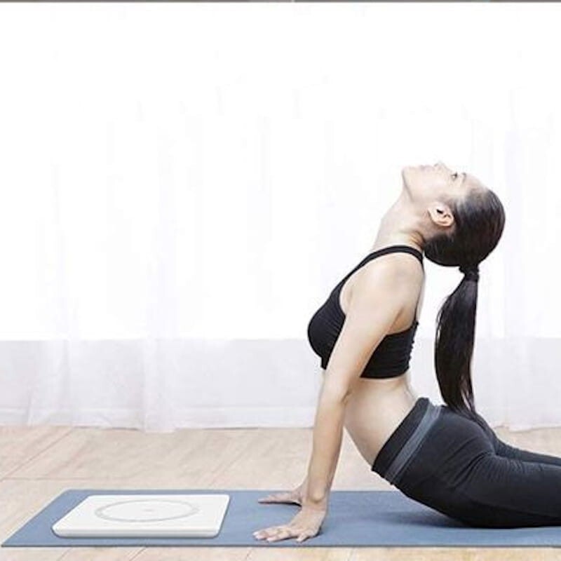 Honor Scale 2 / LUP-B19