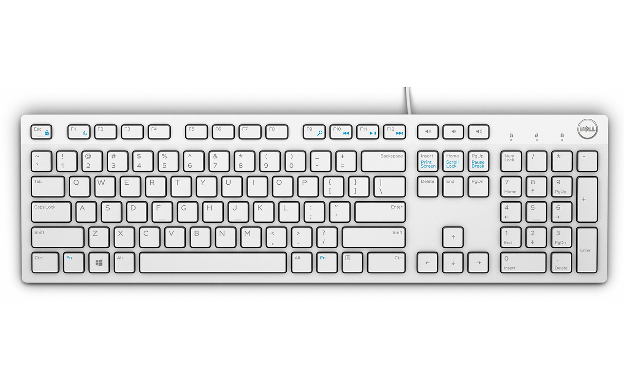 DELL KB216 / Multimedia / English