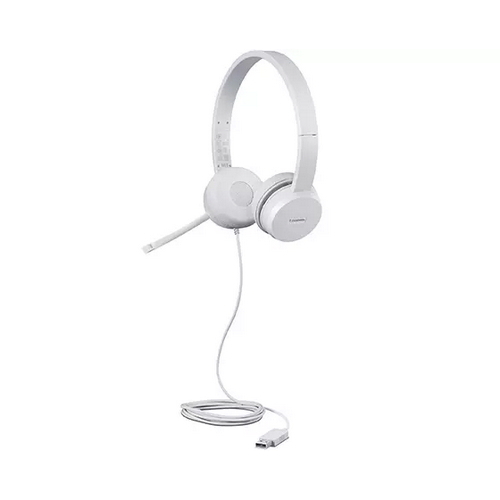 Lenovo 110 Stereo USB