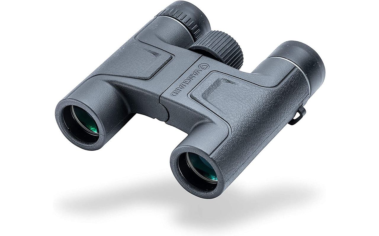 Vanguard VESTA 1025